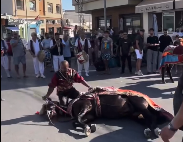 غضب واسع في تونس بعد استعراض فوق حصان خلال حفل زفاف.. وجمعيات تطالب بالتحقيق